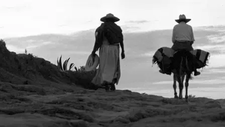 One Hundred Years with Juan Rulfo
