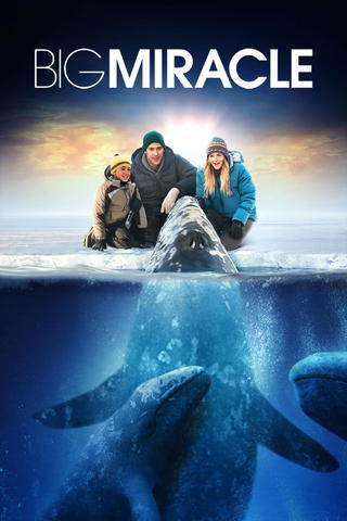 Big Miracle