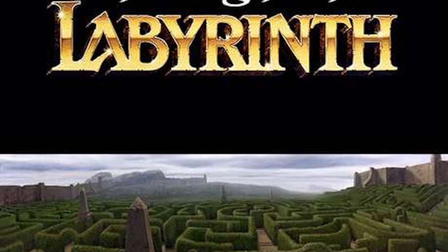 Journey Through the Labyrinth