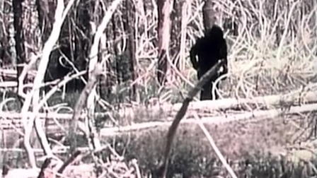 The Legend of Bigfoot