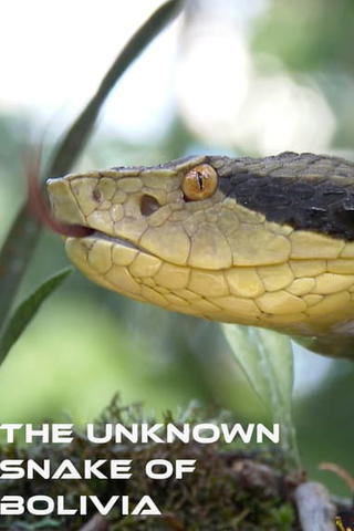 The Unknown Snake of Bolivia