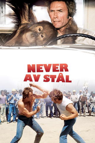 Never av stål