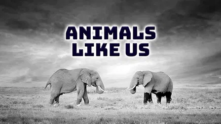 Animals Like Us