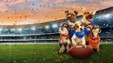 Puppy Bowl