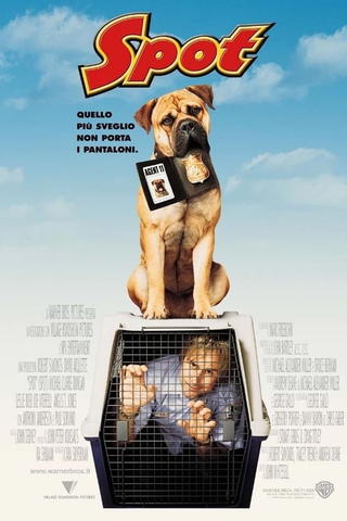 Spot - Supercane anticrimine