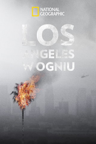 LA 92