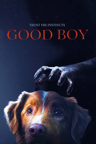 Good Boy