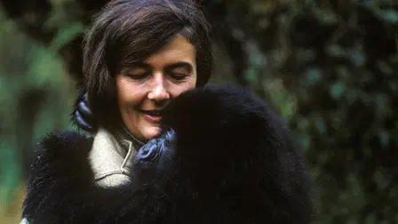 Dian Fossey: Sumuisten vuorten salaisuudet