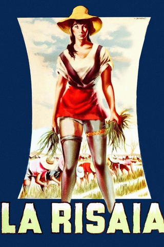 La risaia