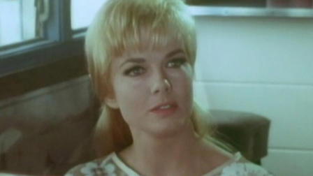 Die Jäger des Inka Schatzes