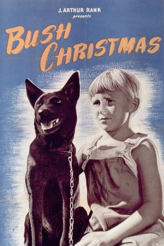 Bush Christmas