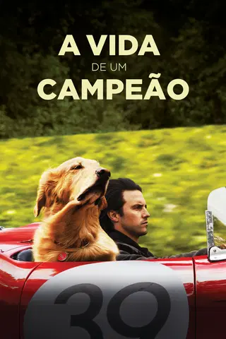 A Vida de um Campeão