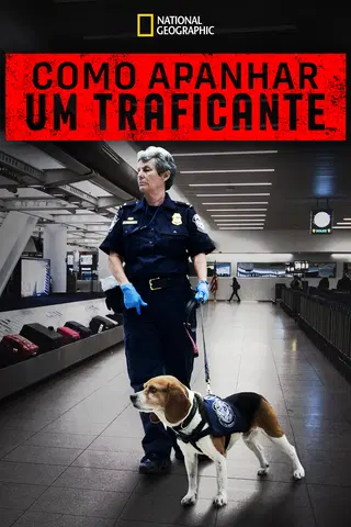 Apanhar um Contrabandista