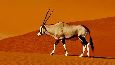 Naturskønne Namibia