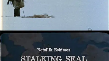 Netsilik Eskimos, IX: Stalking Seal on the Spring Ice