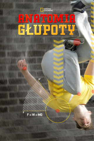 Anatomia głupoty