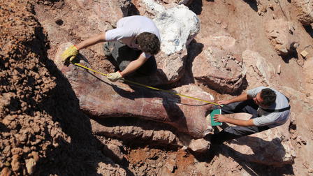 Attenborough ja jättidinosaurus