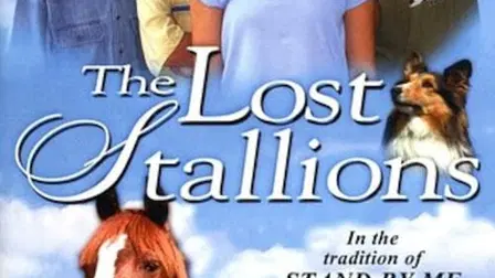 The Lost Stallions