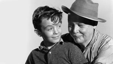 Boy Who Caught a Crook
