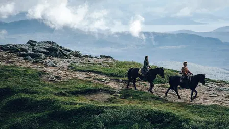 Askedrengen - jagten på det gyldne slot