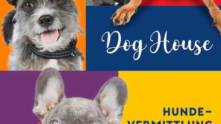 Dog House - Hundevermittlung mit Herz