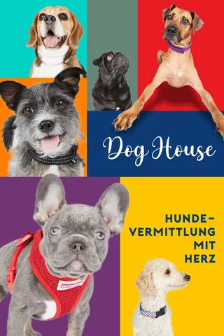 Dog House - Hundevermittlung mit Herz