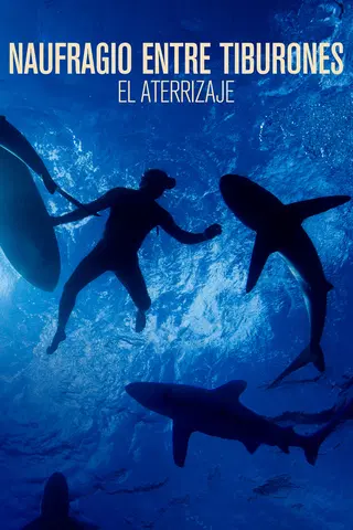 Naufragio entre tiburones 2