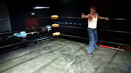 A Meowy Christmas Vacation