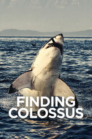 Finding Colossus
