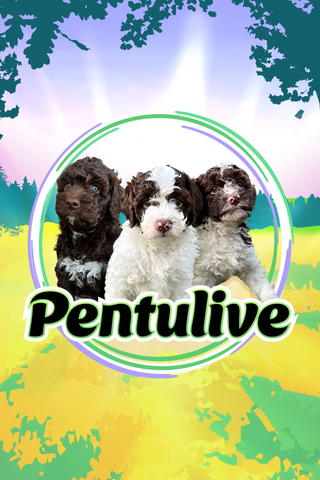 Pentulive