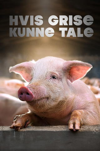 Hvis grise kunne tale