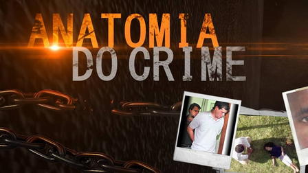 Anatomia do Crime
