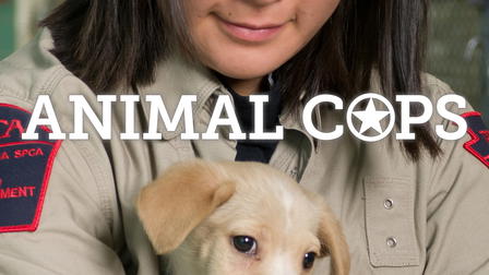Animal Cops Philadelphia