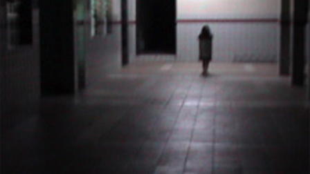 The Little Cotton Girl