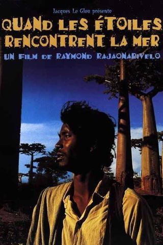 Cuando las estrellas se encuentran con el mar