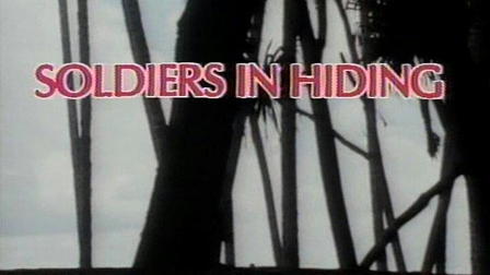 Soldiers in Hiding