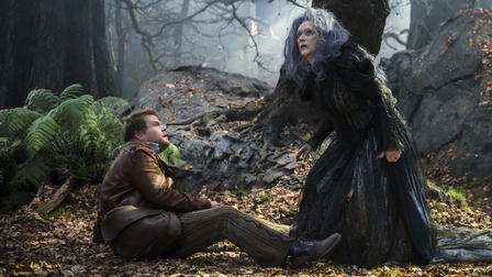 Into the Woods