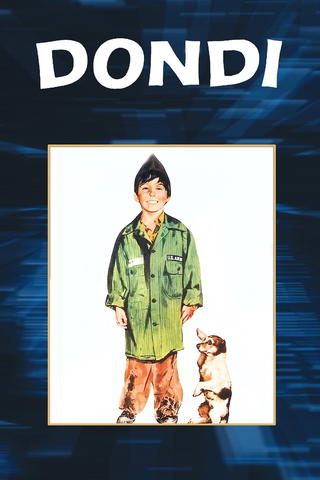 Dondi