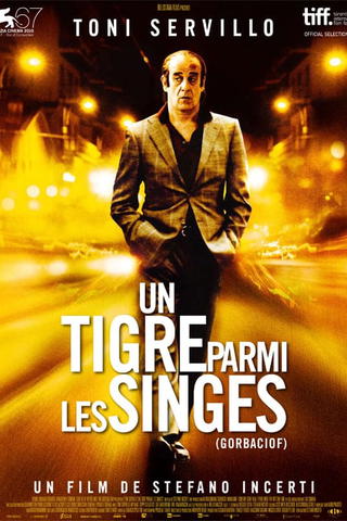 Un tigre parmi les singes