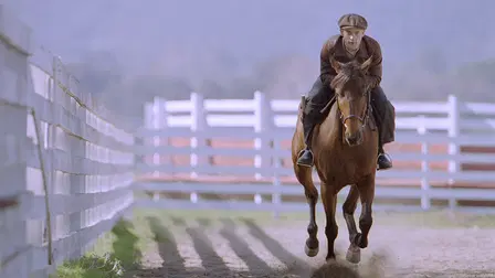 Seabiscuit