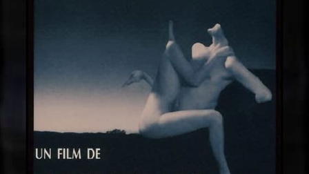 Journey Through the Body