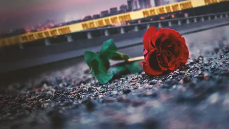 City Confidential - Verbrechen nebenan