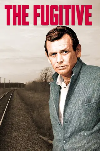 The Fugitive
