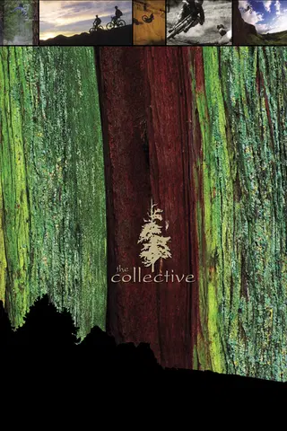 The Collective