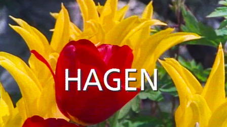 Hagen