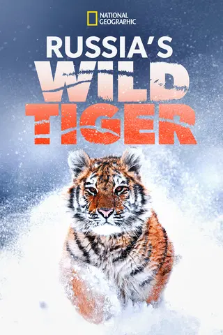 Russia's Wild Tiger