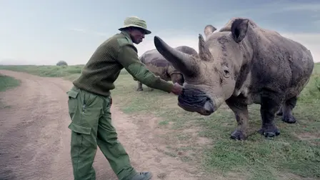 The Last Rhinos: A New Hope