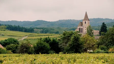 Wine Masters: Baden