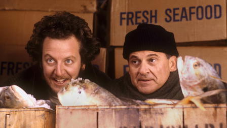 Alene Hjemme 2: Forlatt i New York