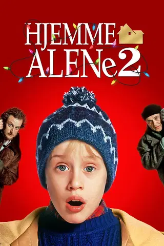 Alene Hjemme 2: Forlatt i New York